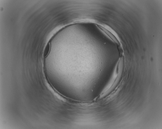 X0000076221005200610191528