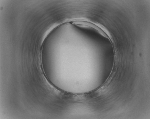 X0000076221006200610191528