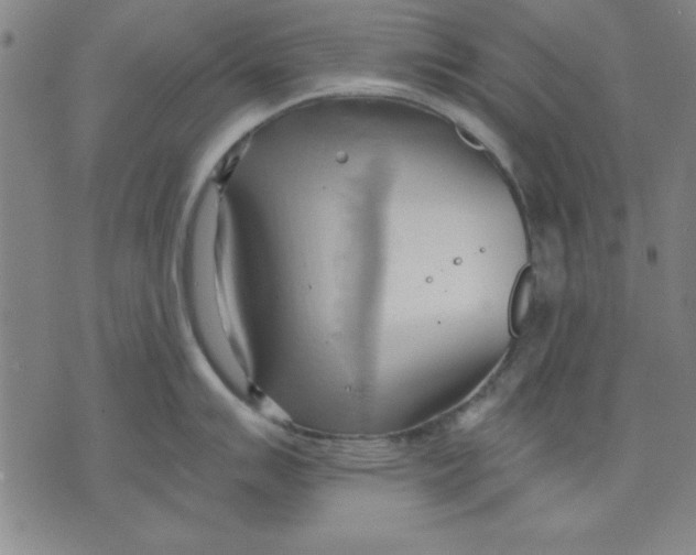 X0000076221007200610191528