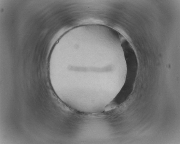 X0000076221008200610191528