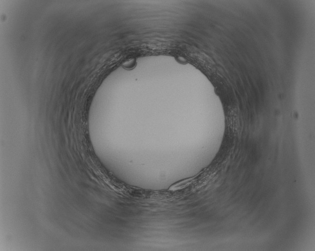 X0000076221009200610191527