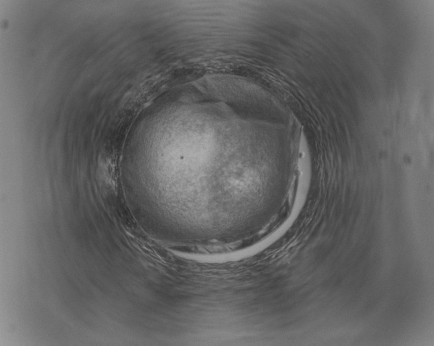 X0000076221010200610191527