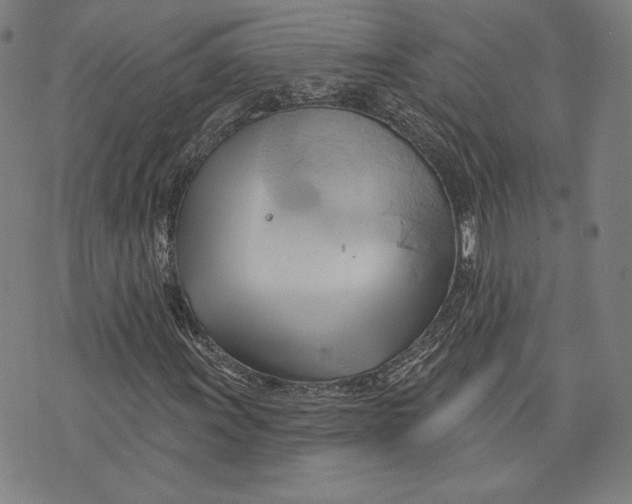 X0000076221011200610191527