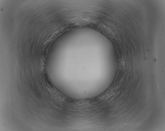 X0000076221012200610191527