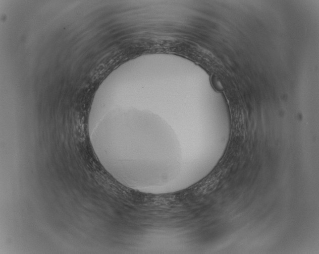 X0000076221013200610191527