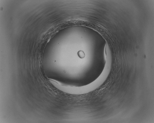 X0000076221014200610191527