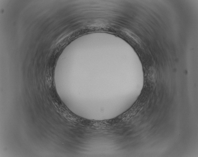 X0000076221015200610191527