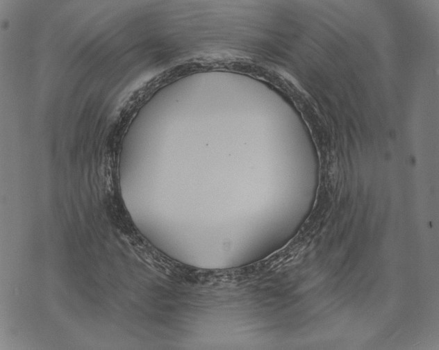 X0000076221016200610191527