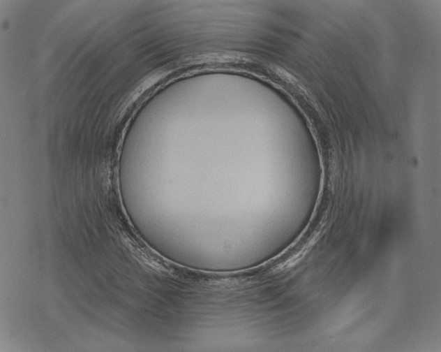 X0000076221017200610191527