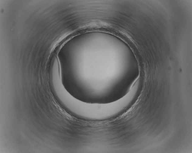 X0000076221018200610191527