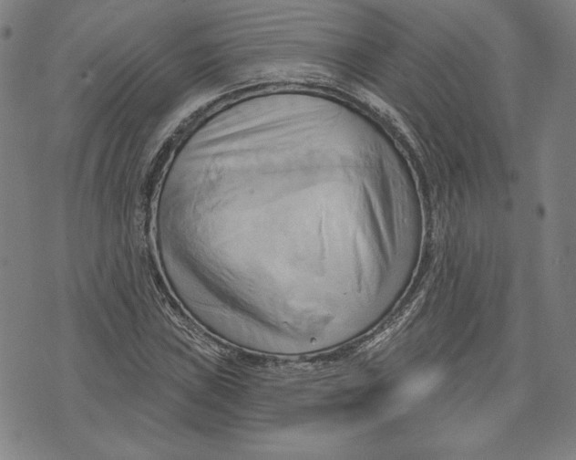 X0000076221019200610191527