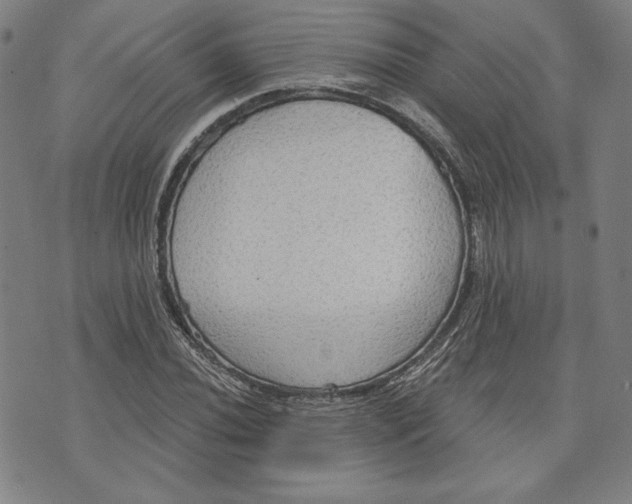 X0000076221020200610191527