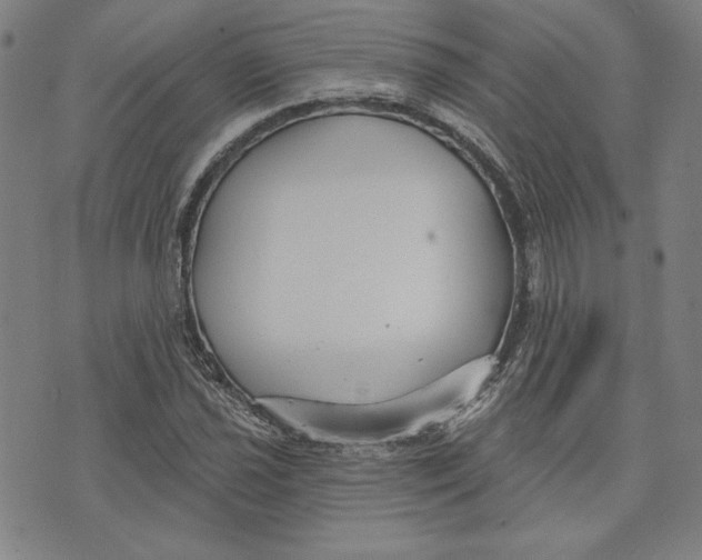 X0000076221021200610191527