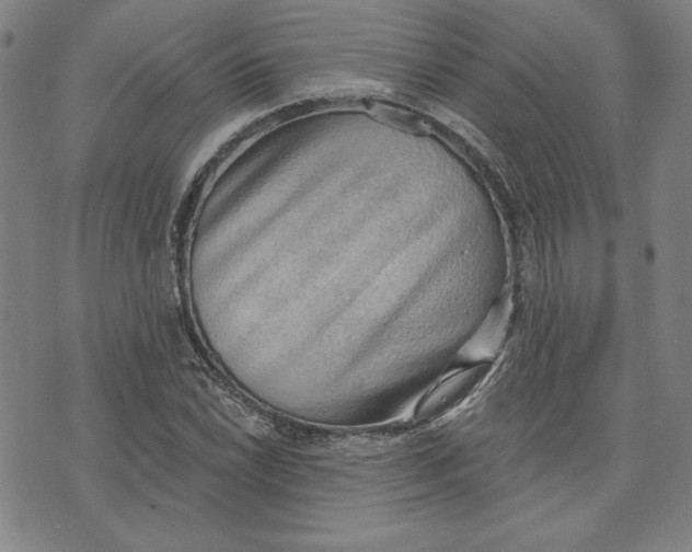 X0000076221022200610191527