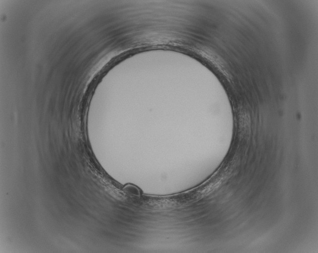 X0000076221023200610191527