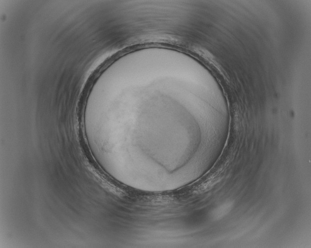 X0000076221024200610191527