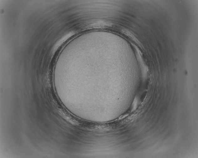 X0000076221026200610191527