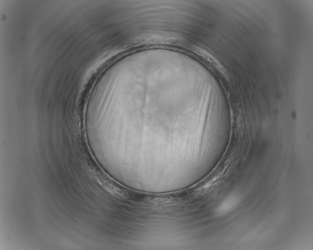 X0000076221027200610191527