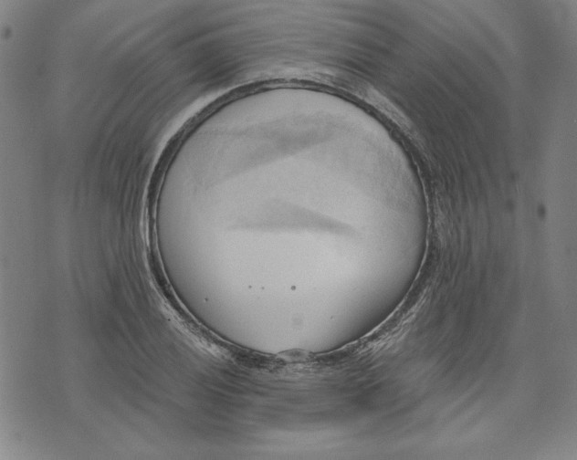 X0000076221028200610191527