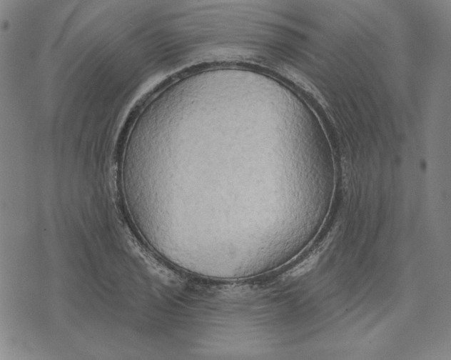 X0000076221029200610191527