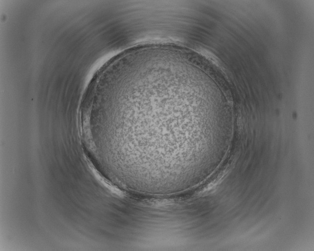 X0000076221030200610191527