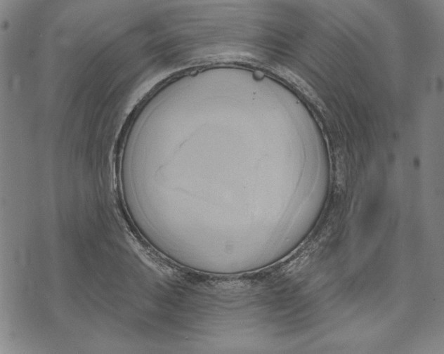 X0000076221031200610191527