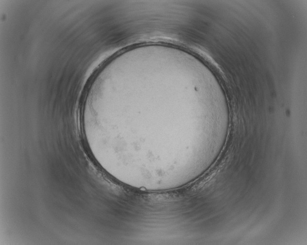 X0000076221032200610191527