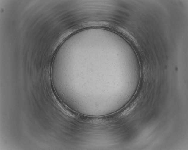 X0000076221033200610191527