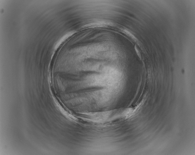 X0000076221034200610191527