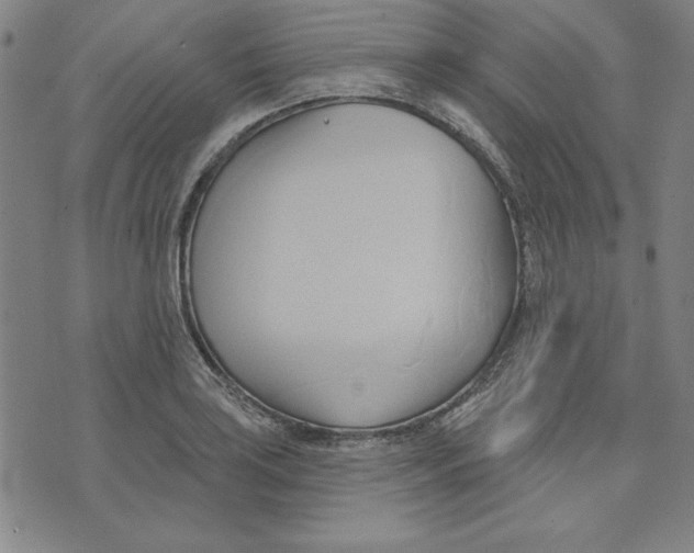 X0000076221035200610191527