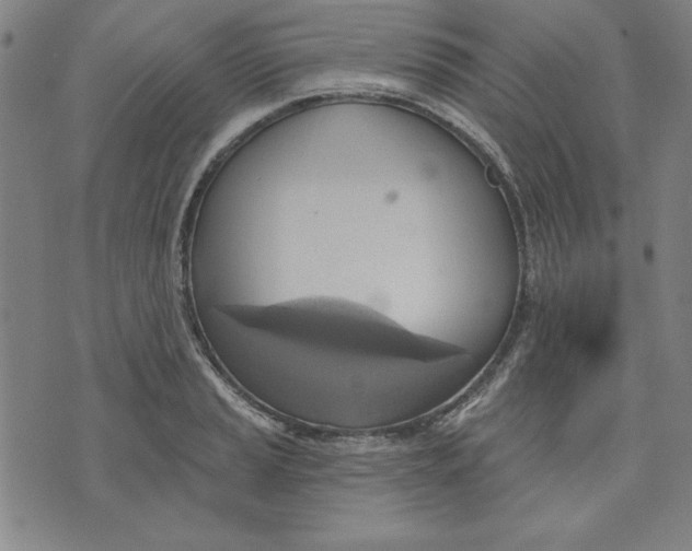 X0000076221037200610191527