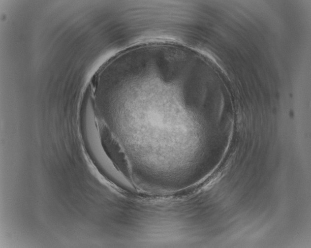 X0000076221038200610191527