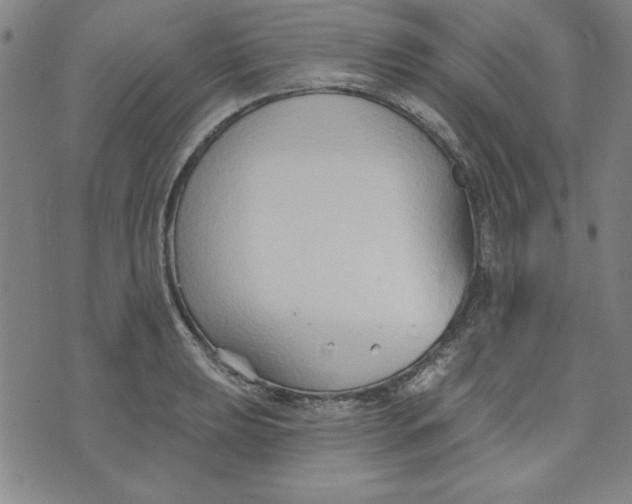 X0000076221039200610191527