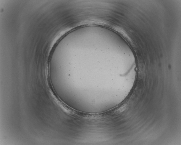 X0000076221040200610191528