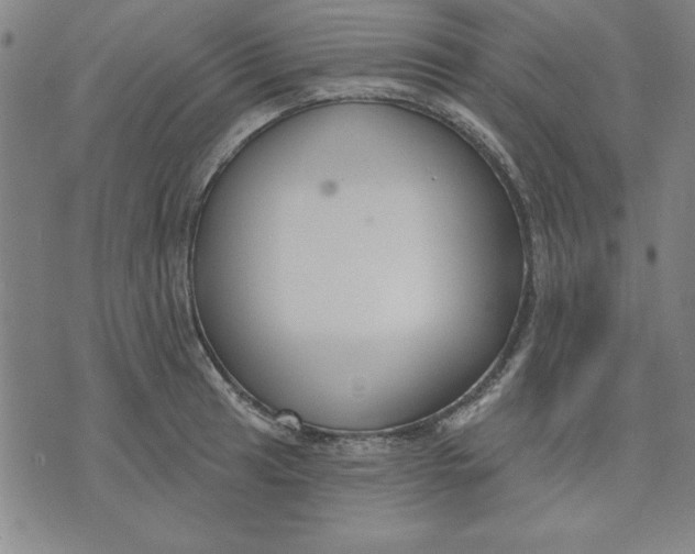 X0000076221041200610191528