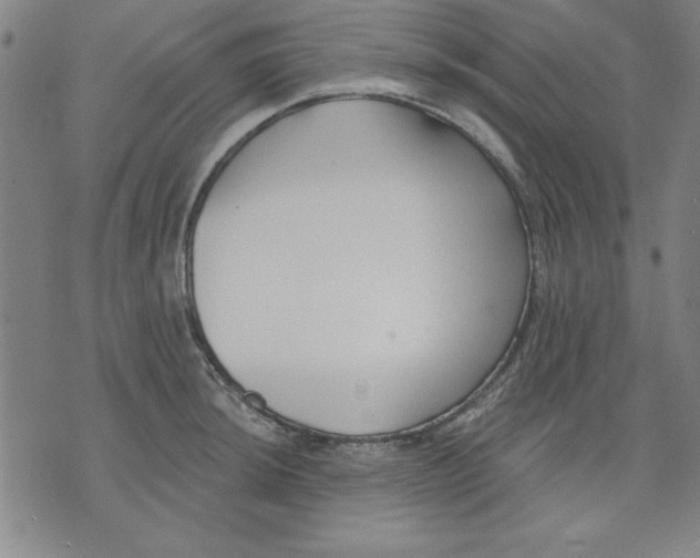 X0000076221044200610191528