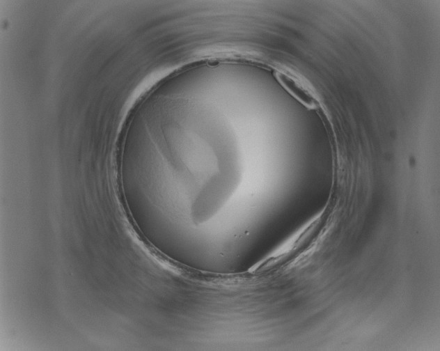 X0000076221045200610191528