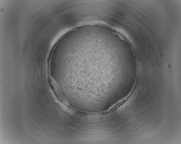 X0000076221046200610191528