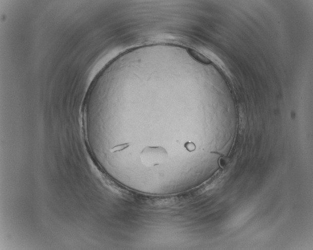 X0000076221047200610191528