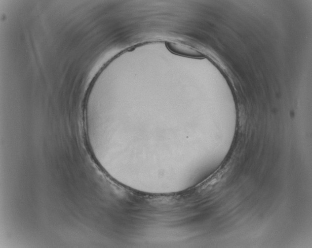 X0000076221048200610191528