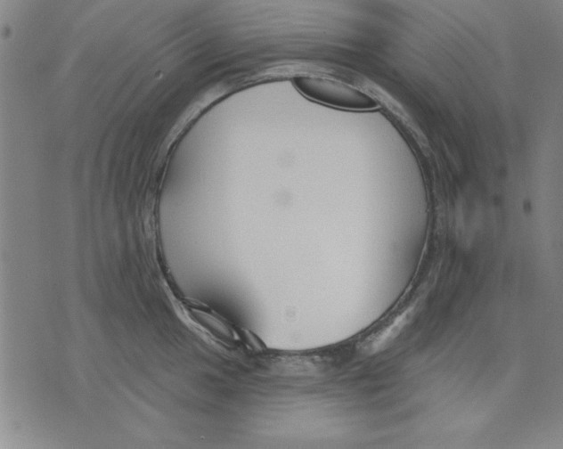 X0000076221049200610191528