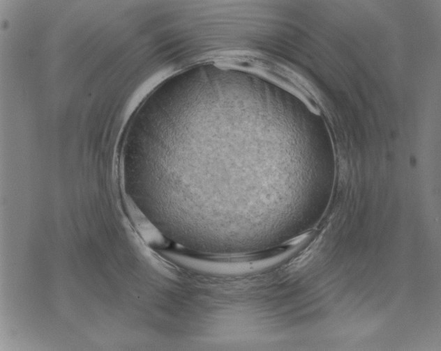 X0000076221050200610191528