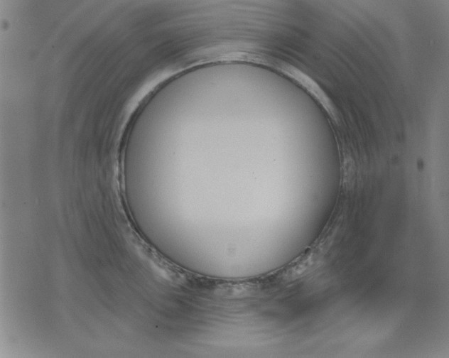 X0000076221051200610191528