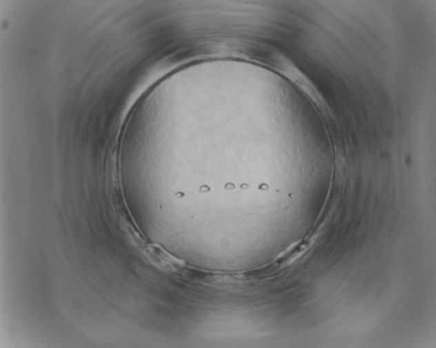 X0000076221052200610191528