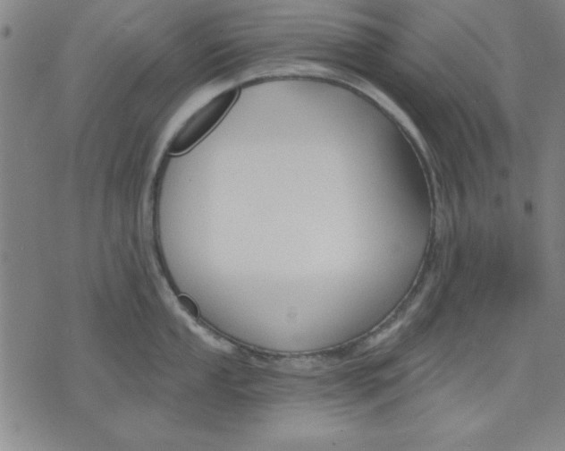 X0000076221053200610191528