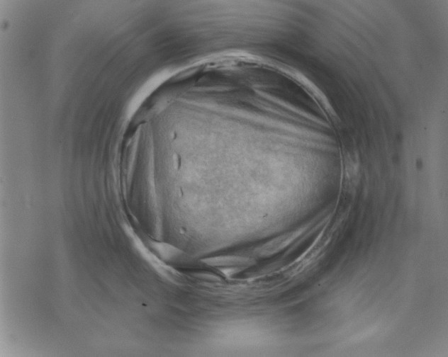 X0000076221054200610191528