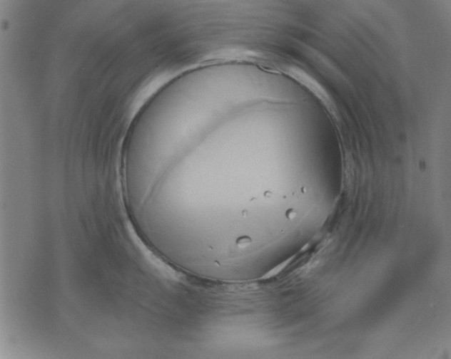 X0000076221055200610191528