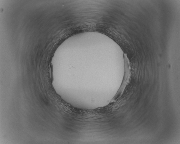 X0000076221057200610191527