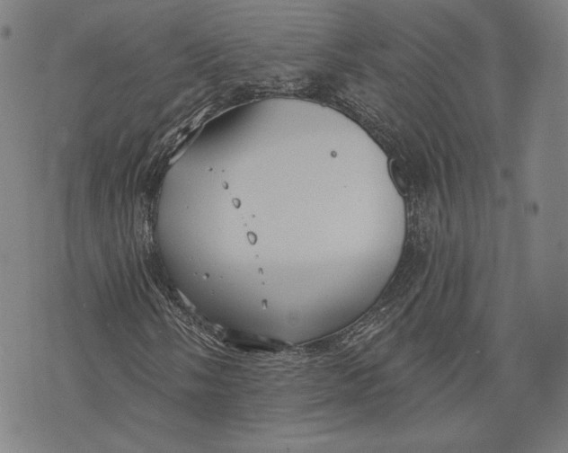 X0000076221058200610191527