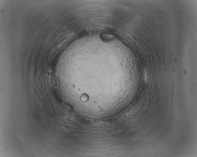 X0000076221059200610191527